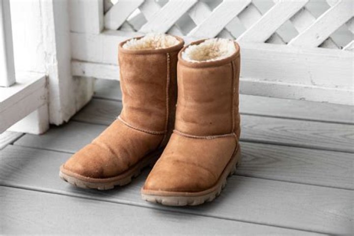Brand of sheepskin boots