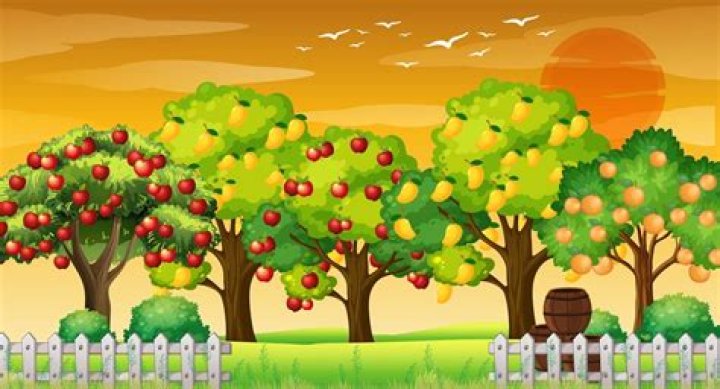 Farm with fruit trees