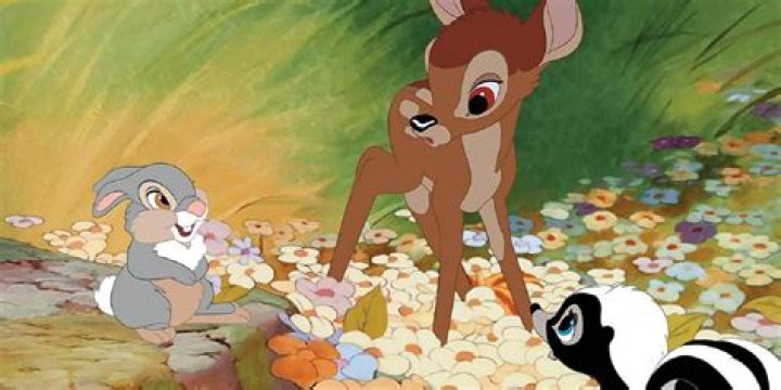 Friend of Thumper and Flower in a Disney movie