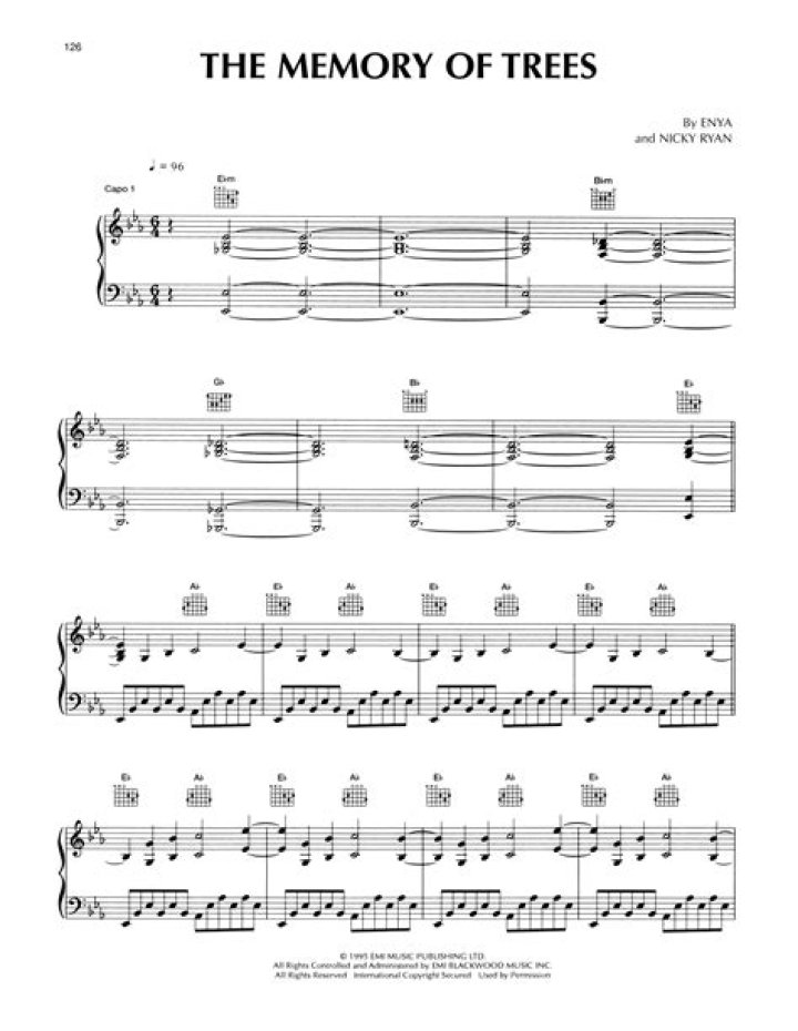 Irish singer whose albums include A Day Without Rain and The Memory of Trees