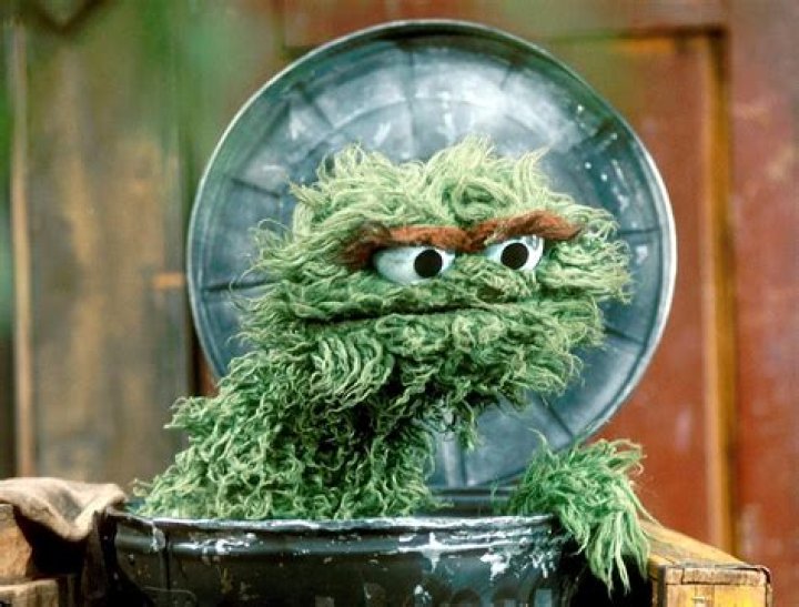 Sesame Street grouch